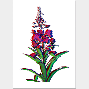 AK FIREWEED Posters and Art